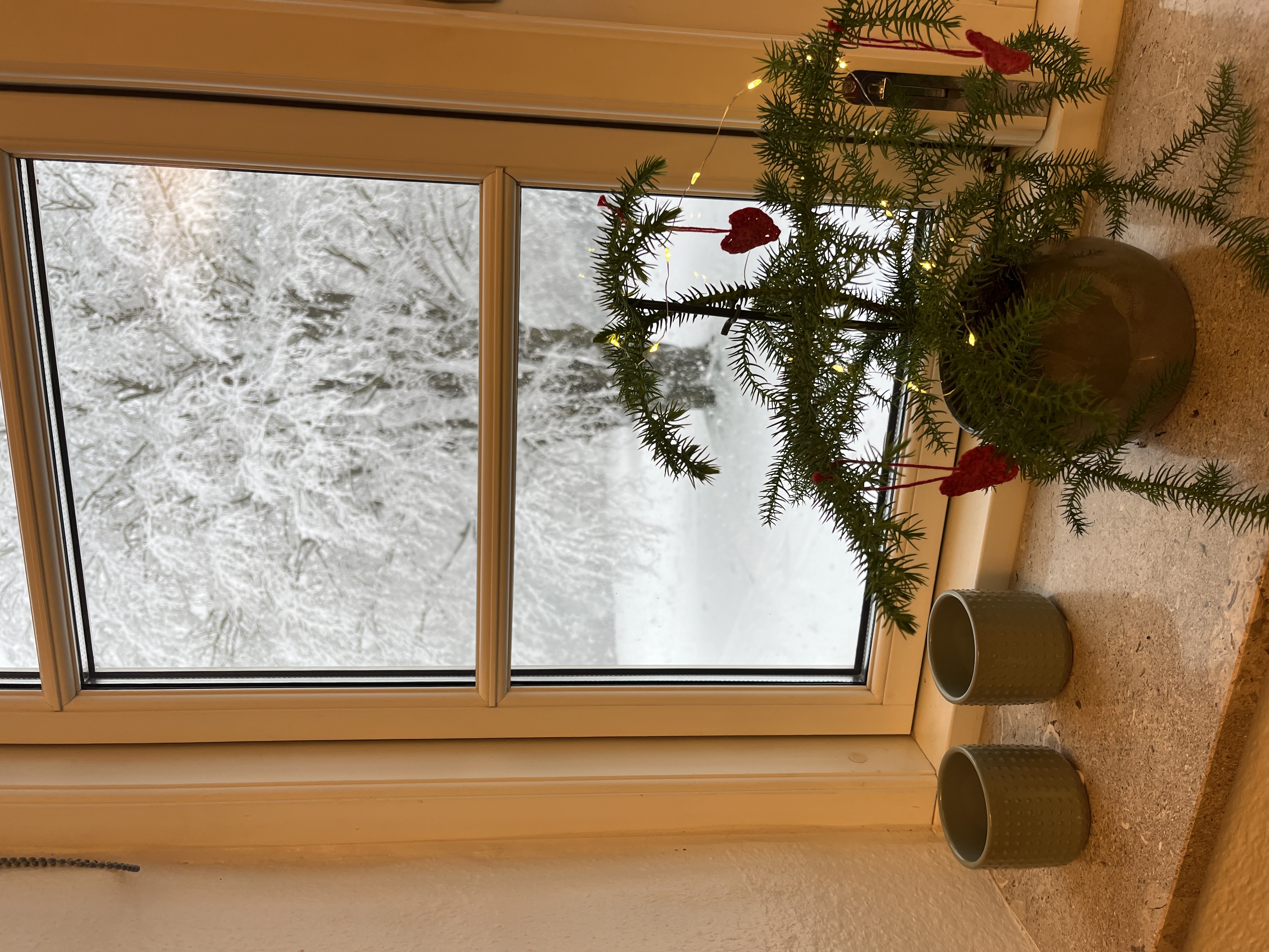 Julestemning på BUCVF